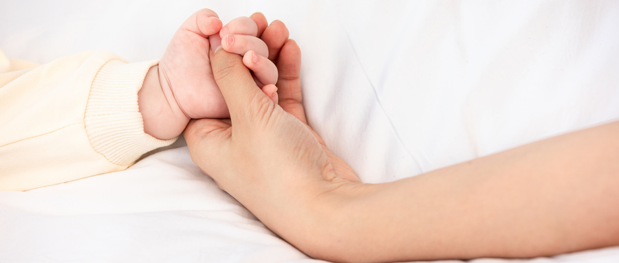 摄图网_501532880_wx