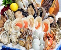 原料介绍 原料介绍