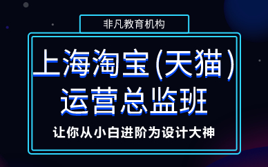 上海淘宝(天猫)运营总监班