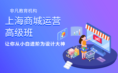 上海商城运营高级班