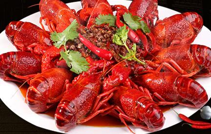 有付出有商机有回报! 有付出有商机有回报!