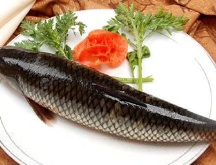 The Frist/第一步 理论讲解 The Frist/第一步 理论讲解