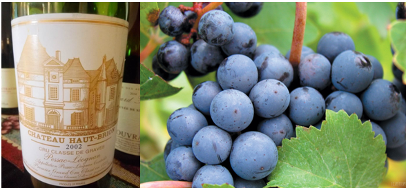 美人如花隔云端：又见长相思&赛美容