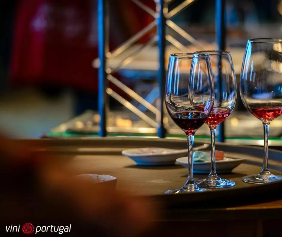 济南 葡萄牙葡萄酒协会官方初级课程