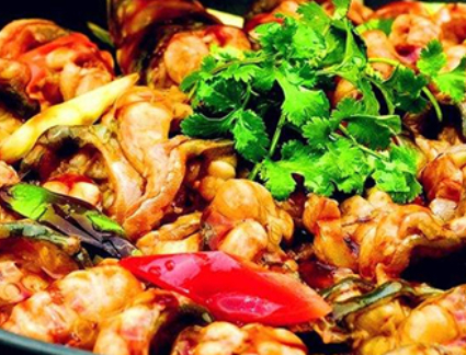 The Frist/第一步 理论讲解 The Frist/第一步 理论讲解