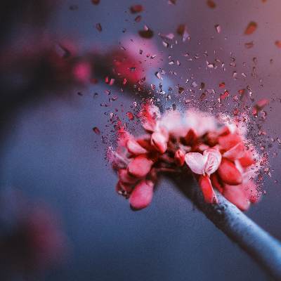 課程介紹 課程介紹