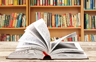 活动费用 活动费用