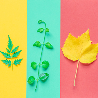 立体彩绘叶子基本画法 立体彩绘叶子基本画法