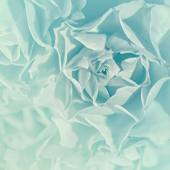 立体彩绘基本花型画法 立体彩绘基本花型画法