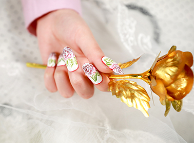 强大的师资教学体系