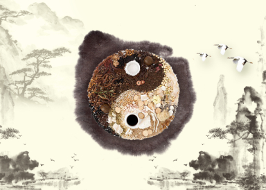 中医针灸专业课程