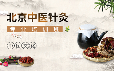 北京中医针灸专业培训班 北京中医针灸专业培训班