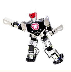 人形机器人 人形机器人