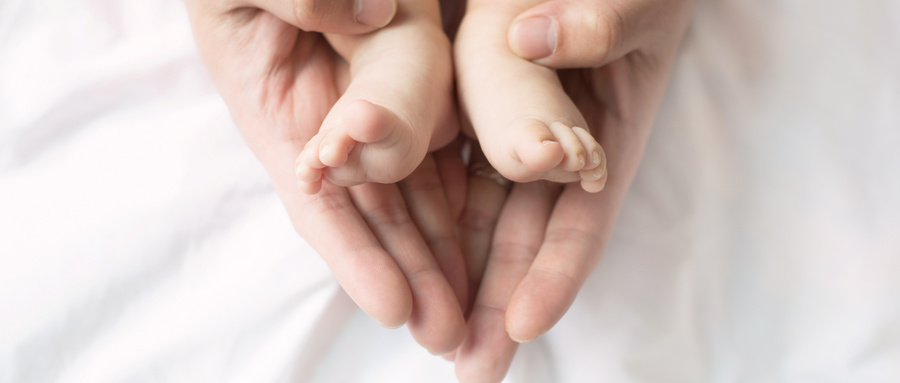 培训时间、地点、费用 培训时间、地点、费用