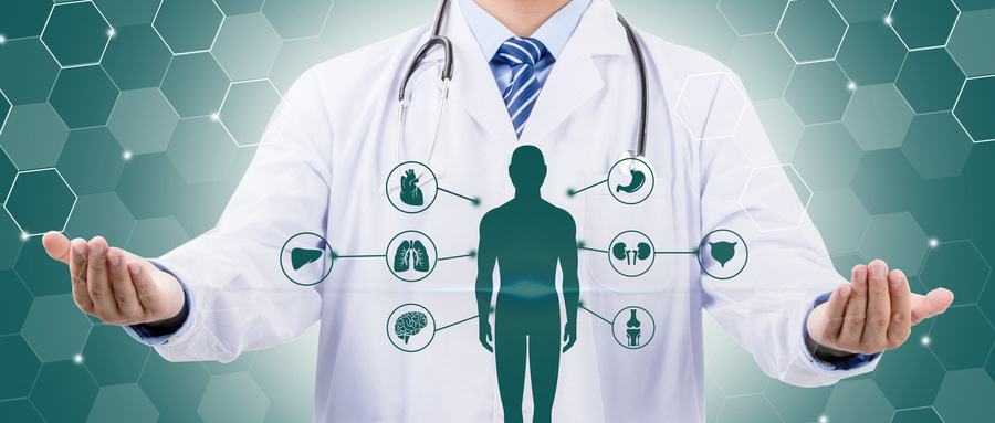 运动解剖 运动解剖