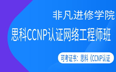 上海思科CCNP认证网络工程师班