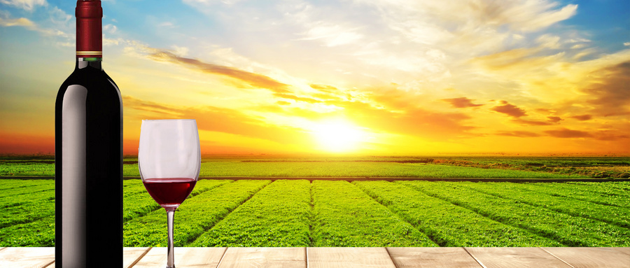 教学目标 教学目标