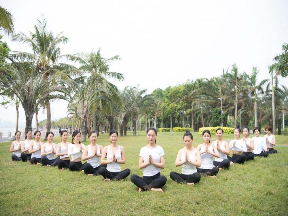 课程介绍 课程介绍