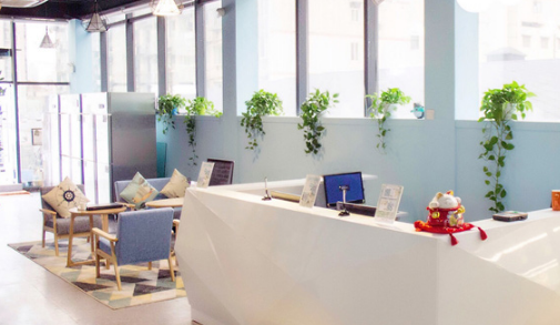 威利旺卡•烘焙