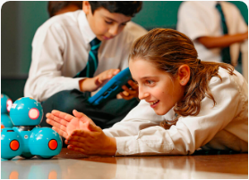 小學(xué)的課程 小學(xué)的課程