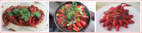 2016090711080290290[1]