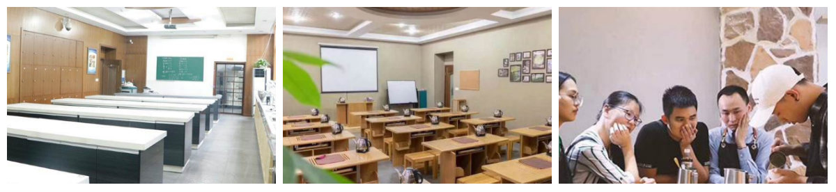 教學(xué)環(huán)境 教學(xué)環(huán)境