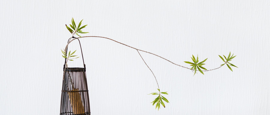 课程特色 课程特色