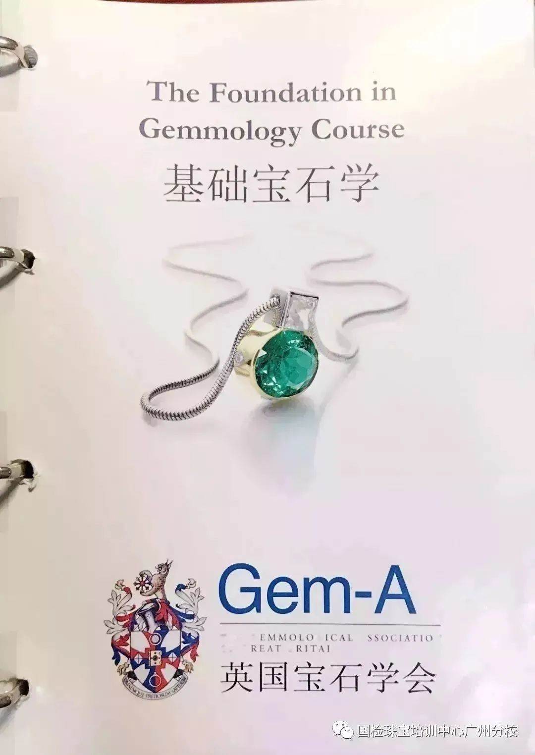 微信图片_20200227182126.jpg