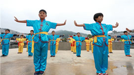 學校武術(shù)隊 學校武術(shù)隊