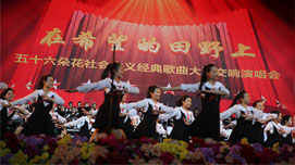 人民大会堂演出