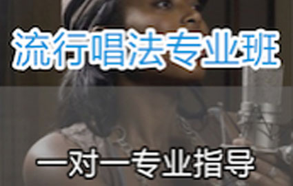 专业流行声乐培训班