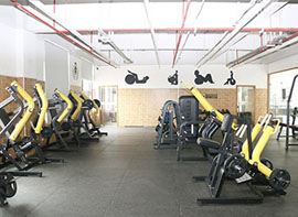 专业技能改变 专业技能改变