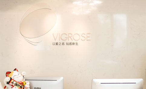 上海薇格思美业学院