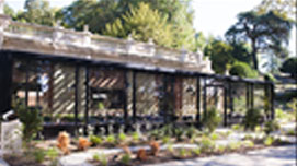 优美环境 优美环境