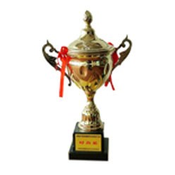 时尚奖杯 时尚奖杯