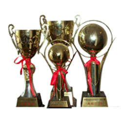 团队金奖 团队金奖