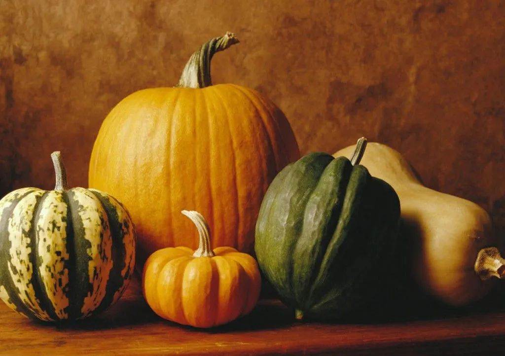 dar calabazas.jpg