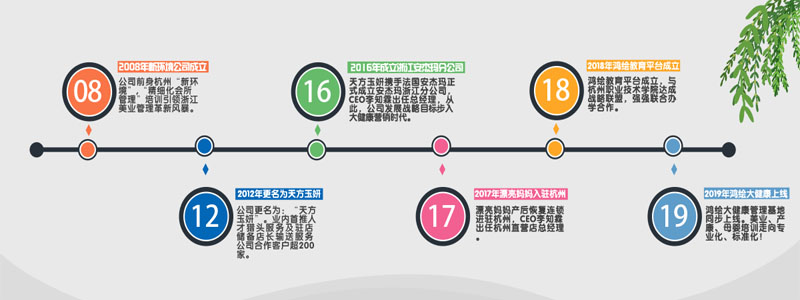 发展历程 发展历程