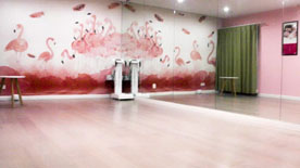 學(xué)校環(huán)境 學(xué)校環(huán)境