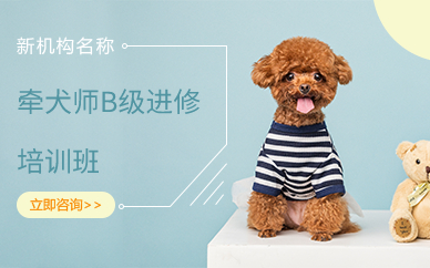 宠物美容培训2 宠物美容培训2
