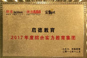 2017年度综合实力教育集团