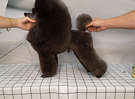 ABUIABACGAAg1-fs7AUojJX4kwYwgB84oBc