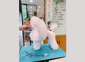 ABUIABACGAAgpPns7AUo-veG6wEw8BA4wBY