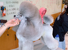 ABUIABACGAAgpPns7AUo-veG6wEw8BA4wBY