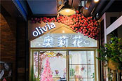 olivia茉莉花 olivia茉莉花