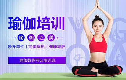杭州瑜伽教练考证培训班 杭州瑜伽教练考证培训班