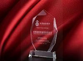 世界瑜伽传播特别贡献奖