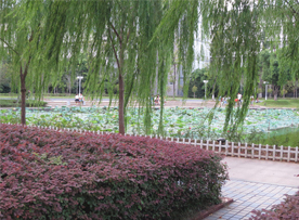 學校環(huán)境 學校環(huán)境