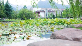 东软睿

道成都东软学院校园环境