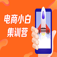 电商小白
